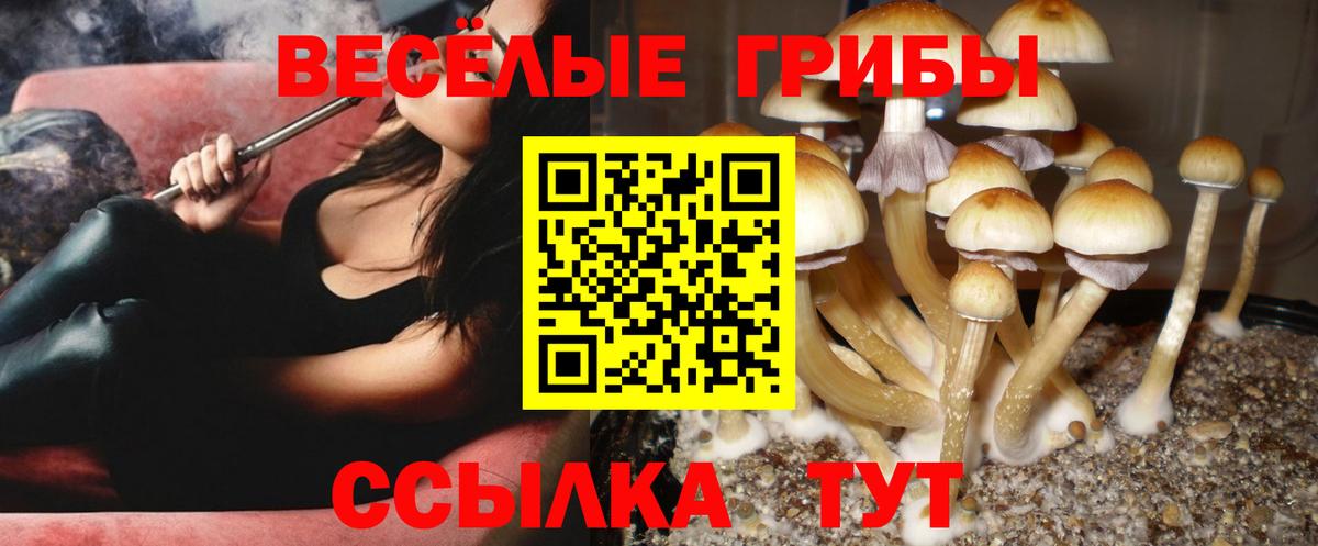 Галлюциногенные грибы прущие грибы Владимир