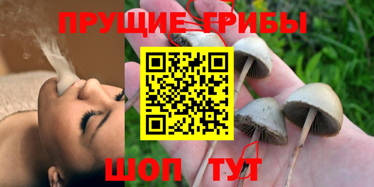 Галлюциногенные грибы Psilocybe  Псилоцибиновые грибы мицелий  цена наркотик  Владимир  Вход с VPN 